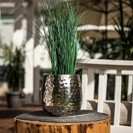 The Mint - Saint فندق سفيتي فلاس