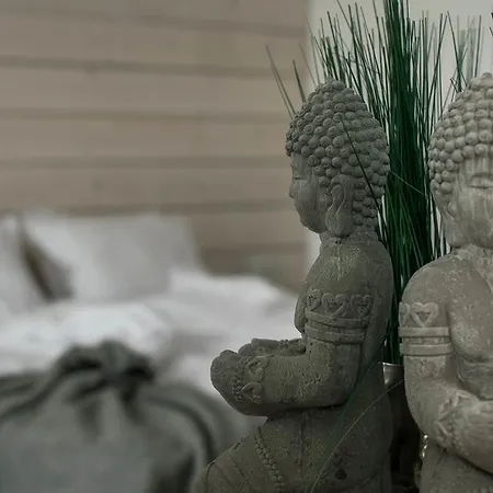 מלון The Mint - Saint Vlas 2*