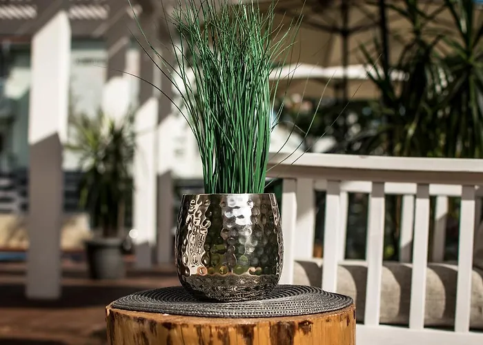 The Mint - Saint Hotel Sveti Vlas